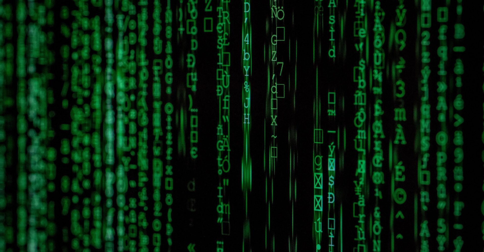 pexels-6-scaled.jpg